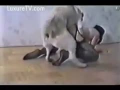 Stunning hottie with a hairless vagina doggy position drilled by an brute